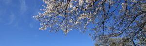 top_image_03